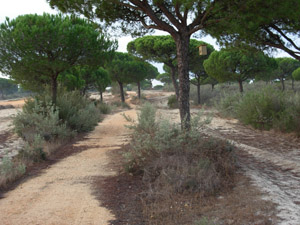 Vistas de la ruta